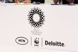 nTron STEM kit PachiPanda Champion 